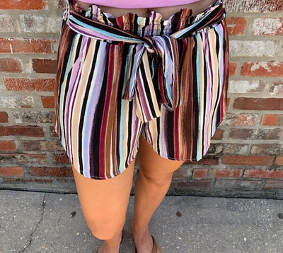 Multi-Colored Striped Shorts
